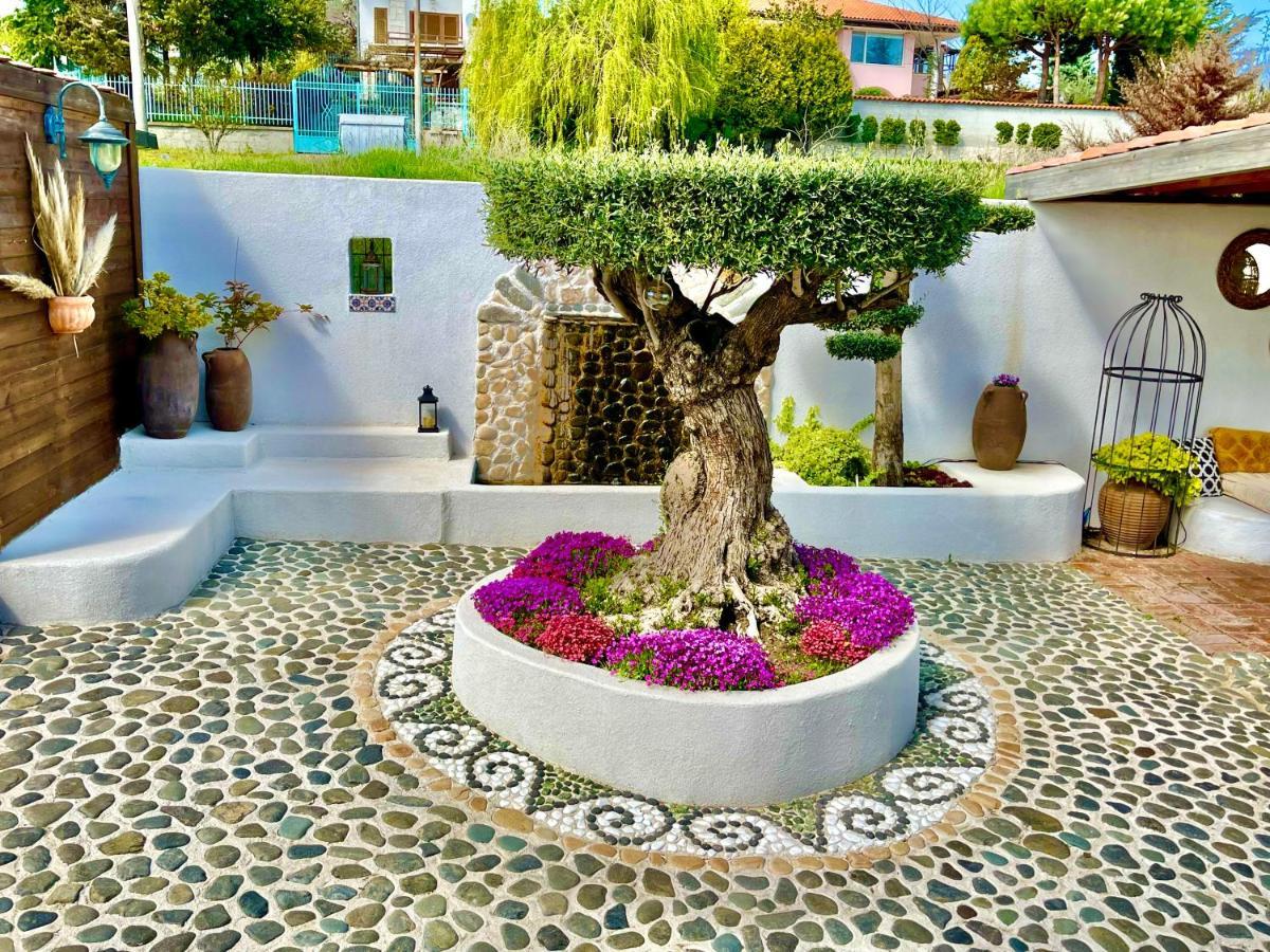 Casa De Oro Alma Aparthotel โซโซโปล ภายนอก รูปภาพ